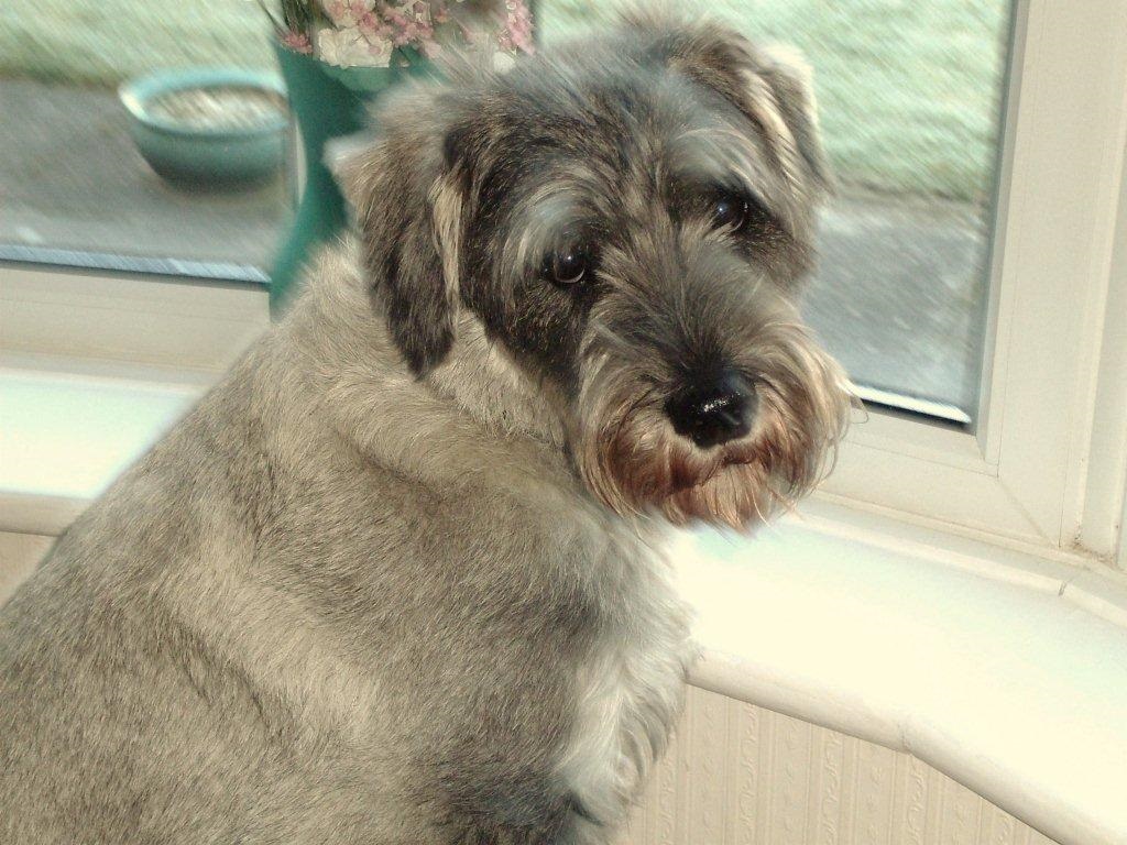 Photo Fergus-GEDC0145.jpg of Fergus